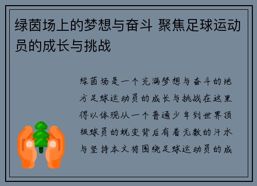 绿茵场上的梦想与奋斗 聚焦足球运动员的成长与挑战